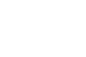 LFFI_2025